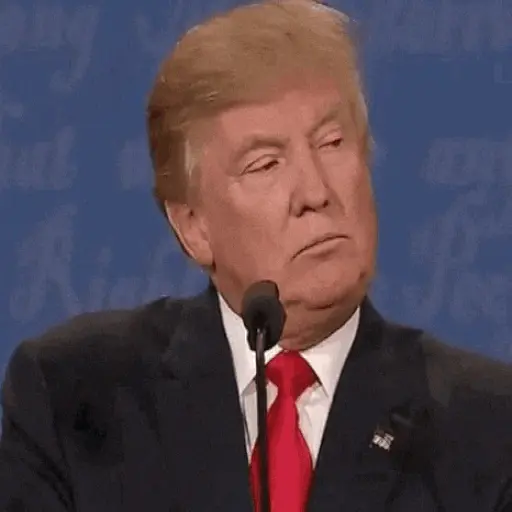 Donald Trump preview