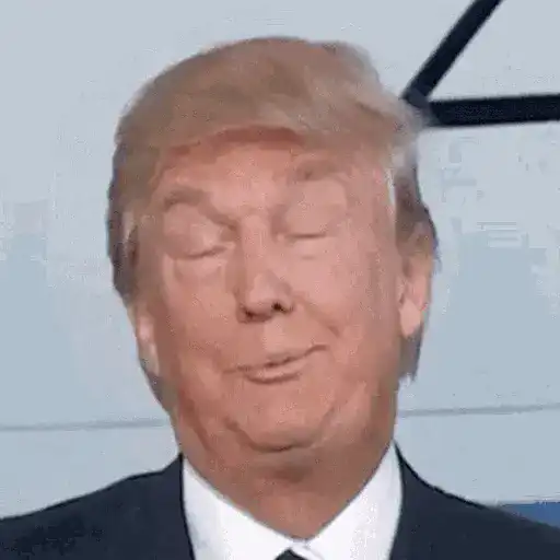 Donald Trump preview