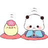 Panditas Bonitos 🐼☺️ 