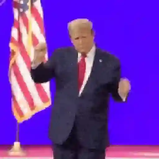 Donald Trump sticker 12