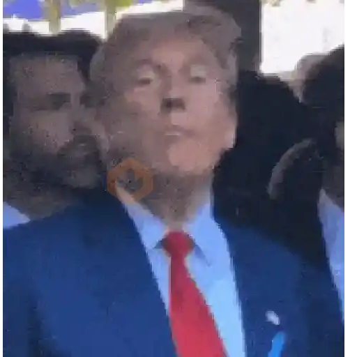 Donald Trump sticker 11