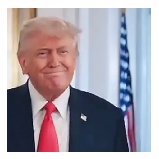 Donald Trump 🇺🇸🇺🇸 preview
