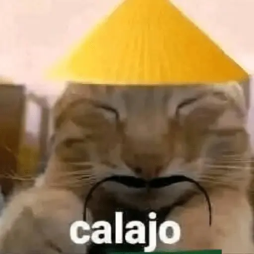 💥😑 CALAJO 😑💥
