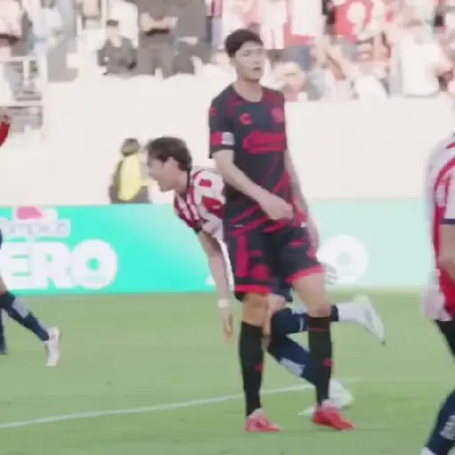 🧿Chivas/Chivas de Guadalajara⚽