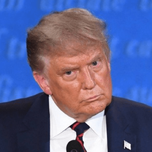 Donald trump preview