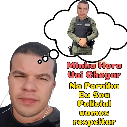 Minhas figurinhas sticker 18