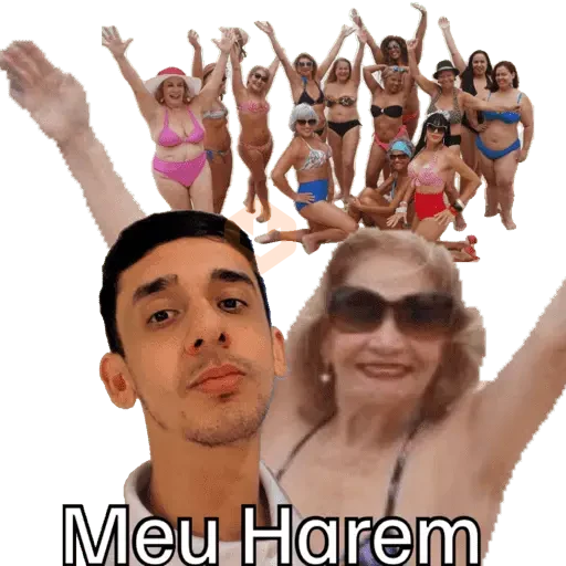 Minhas figurinhas sticker 11