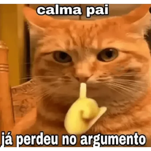 XITPOST sticker 12