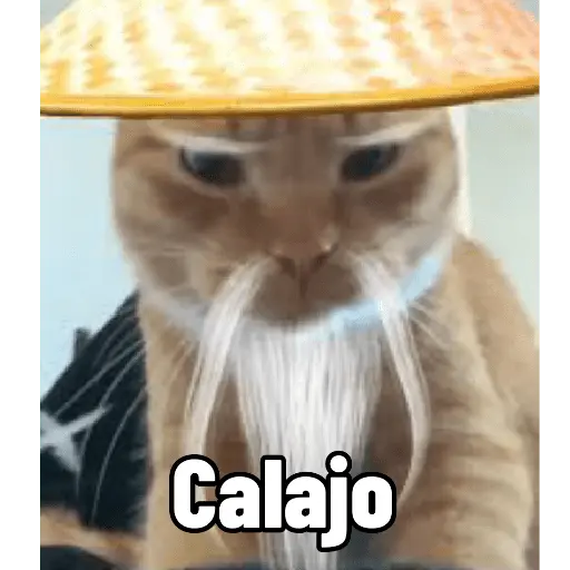 Calajo