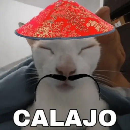 Calajo