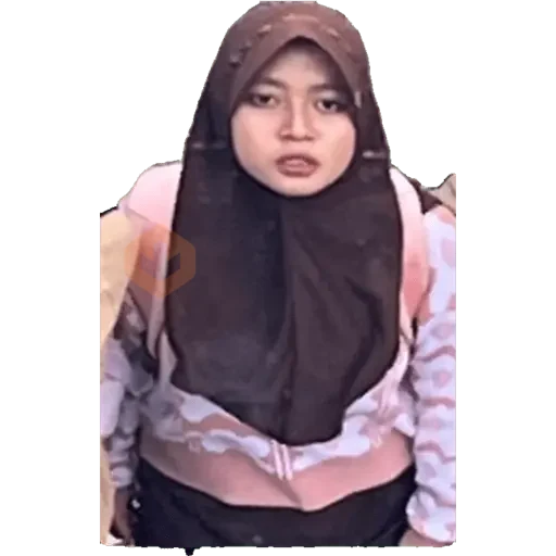 nailong my lop sticker 11