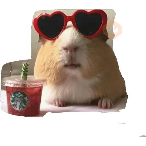 Bebe sticker 13