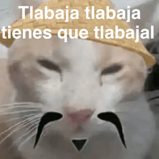 Calajo -.-