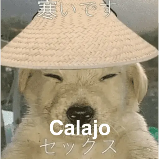 Calajo -.-