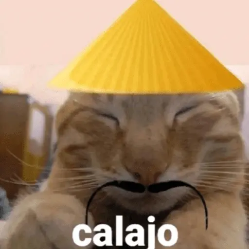 Calajo -.-