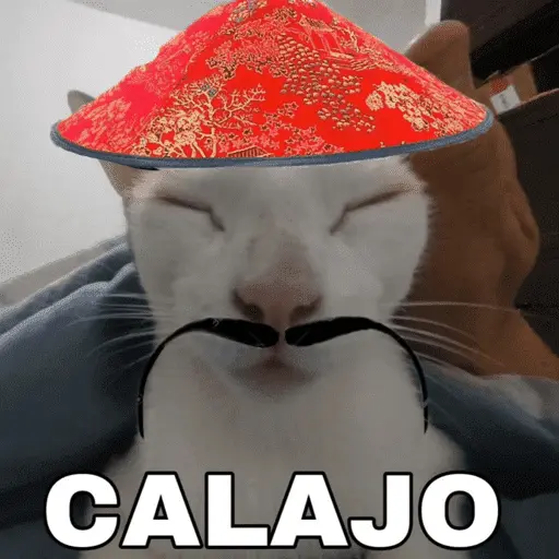 Calajo -.-