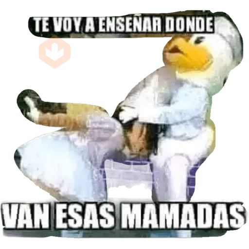 Jochis 2 sticker 14