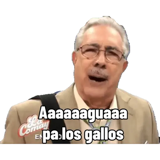 Politicos2