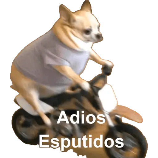 Calajo🧐🤣