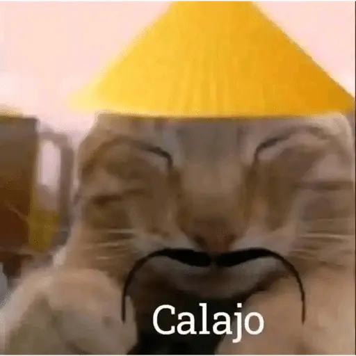 Calajo🧐🤣