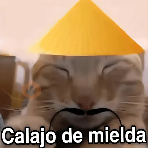 Calajo 😑 carajo carajito 😶‍🌫️ sticker 21