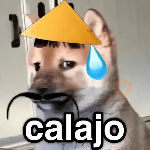 Calajo 😑 carajo carajito 😶‍🌫️ sticker 15
