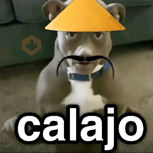 Calajo 😑 carajo carajito 😶‍🌫️ sticker 19