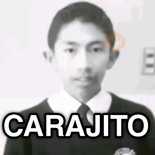 Calajo 😑 carajo carajito 😶‍🌫️ sticker 22