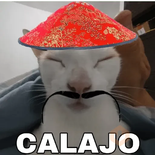 Calajo 😑 carajo carajito 😶‍🌫️ sticker 17