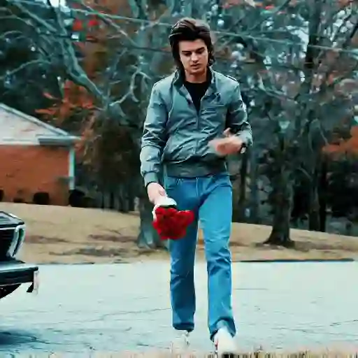 Steve Harrington