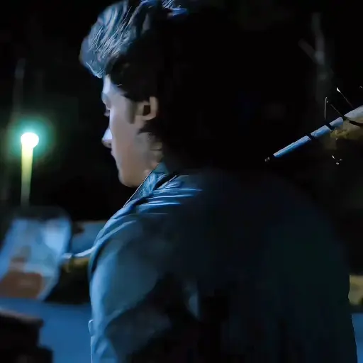Steve Harrington