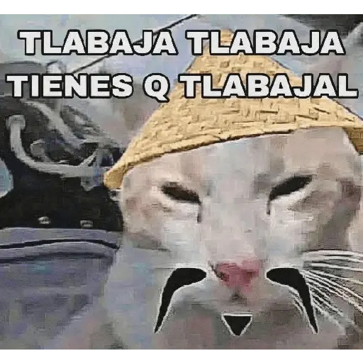 CALAJO 🤓😑
