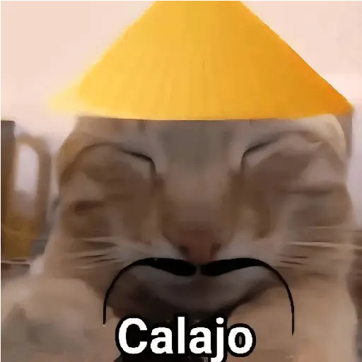CALAJO 🤓😑