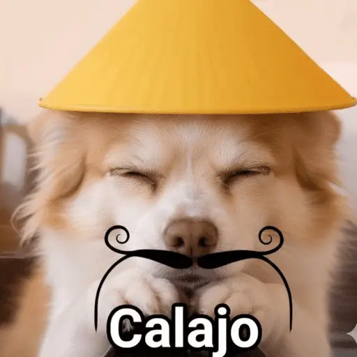 Calajo 😾
