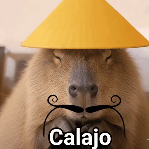 Calajo 😾