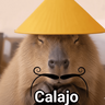 Calajo 😾