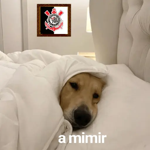 CORINTHIANS CAMPEÃO 2025