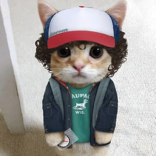 stranger things