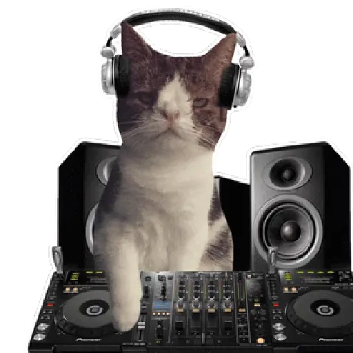 Dance anime 2 🪩🎧 Dj anime preview