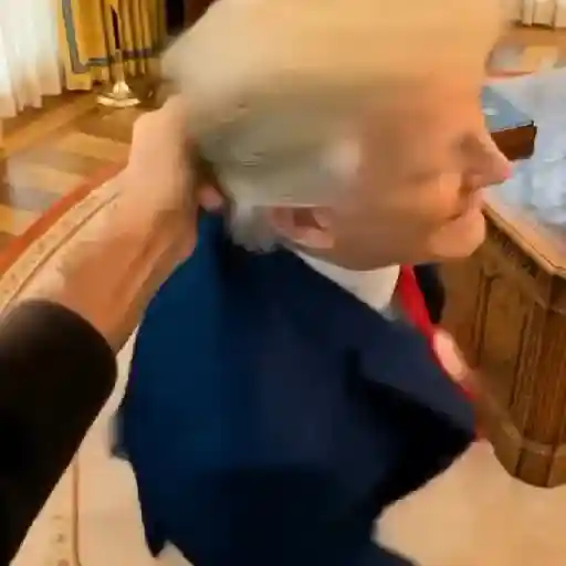 Donald Trump 🇺🇸 IA preview