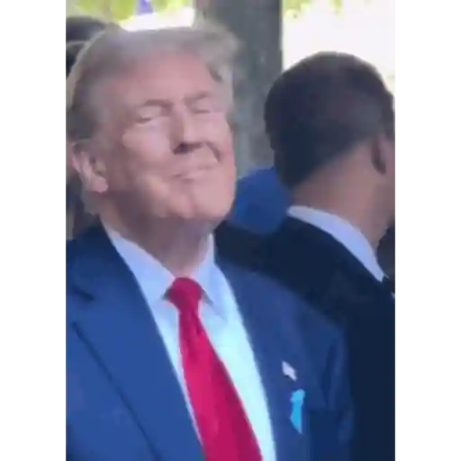 Trump preview
