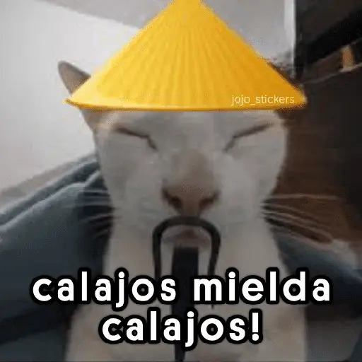🤨 Calajo ! 😅