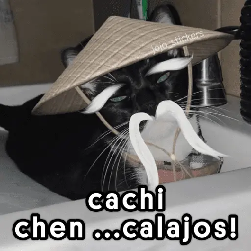 🤨 Calajo ! 😅