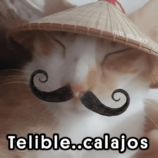 🤨 Calajo ! 😅 preview