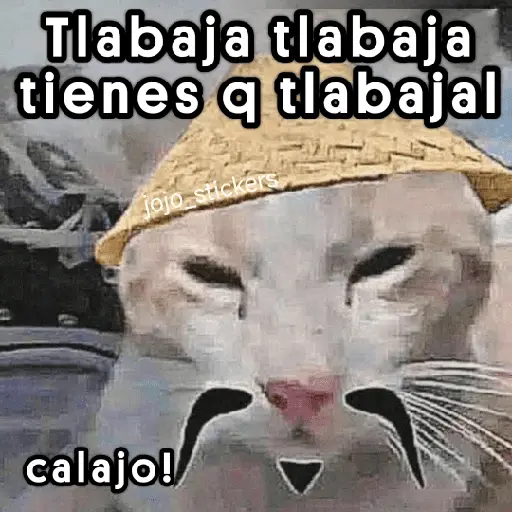 🤨 Calajo ! 😅