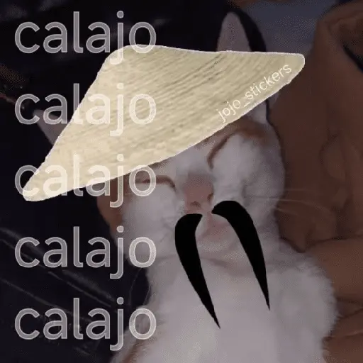 🤨 Calajo ! 😅