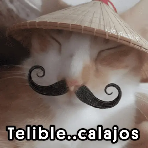 🤨 Calajo ! 😅