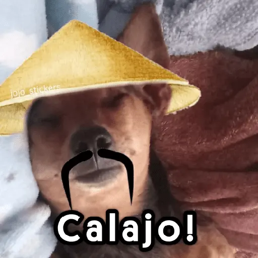 🤨 Calajo ! 😅