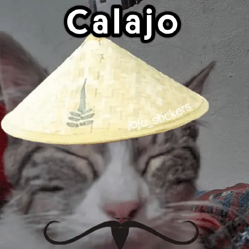 🤨 Calajo ! 😅