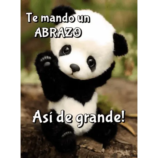 Abrazos 